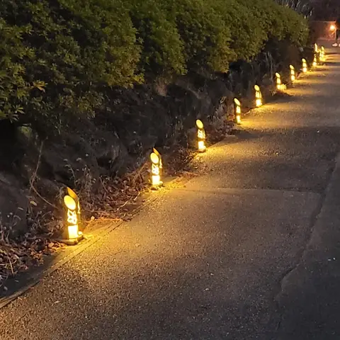 ライトアップ in HANA・BIYORI