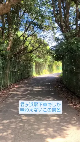 ロズウェルから犬吠埼灯台へ