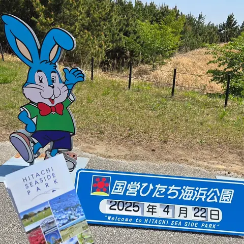 国営ひたち海浜公園 ※2人ならタンデムがおすすめ！